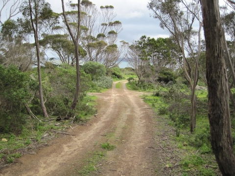 Wallaby Beach House - Dalby Accommodation 3