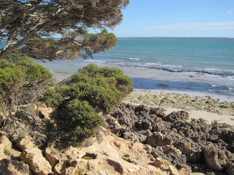 Wallaby Beach House - Dalby Accommodation 4