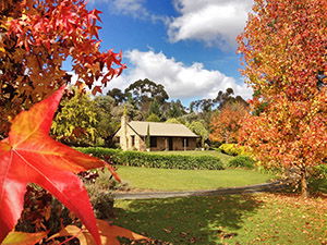 Adelaide Hills Country Cottages - Lavender Fields - Dalby Accommodation 0