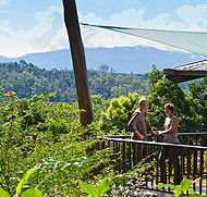 Rose Gums Wilderness Retreat - Dalby Accommodation