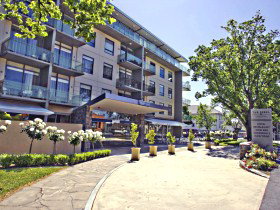 Sebel Launceston - The - Dalby Accommodation 0