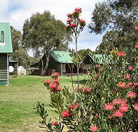 Derwent Bridge Chalets and Studios - Dalby Accommodation
