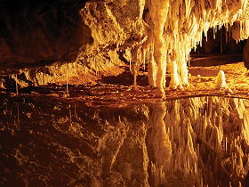 Rosewick Cottage - Dalby Accommodation 0