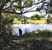 Newry Park Cottage - Dalby Accommodation