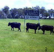 Cluan Homestead - The Managers Residence - Dalby Accommodation