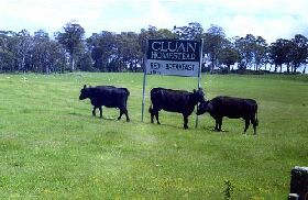 Cluan Homestead - The Managers Residence - Dalby Accommodation 0