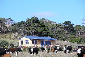 Marrawah TAS Dalby Accommodation