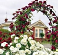 Golden Embers Apartments and B and B - Dalby Accommodation