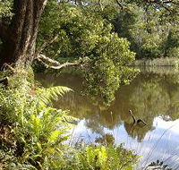Weldborough Camping Ground - Dalby Accommodation