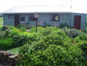 Engadine Cottage - Dalby Accommodation 0