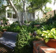 Topiary Haven - Dalby Accommodation