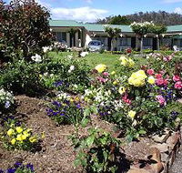 Wintersun Gardens Motel - Dalby Accommodation