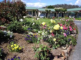 Wintersun Gardens Motel - Dalby Accommodation 0