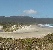 Cloudy Bay Cabin - Dalby Accommodation