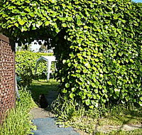 Kirra Guest House - Dalby Accommodation