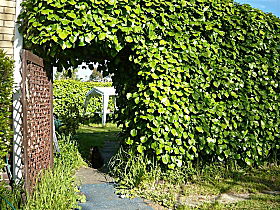 Kirra Guest House - Dalby Accommodation 0