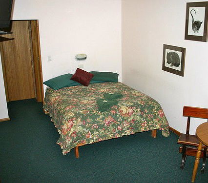 Derwent Bridge Wilderness Hotel - Dalby Accommodation 1