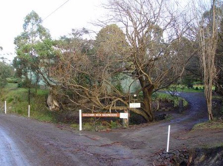 Eaglehawk Neck Backpackers - Dalby Accommodation 1