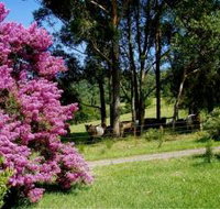 Figlea Cottages - Dalby Accommodation