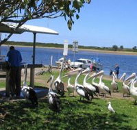 Mountain View Caravan and Mobile Home Village - Dalby Accommodation