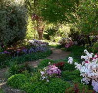 Wombat Hill Bed and Breakfast - Dalby Accommodation