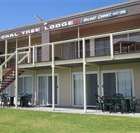 Coral Tree Lodge Tourist Park - Dalby Accommodation