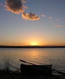At The Springs Cottages - Dalby Accommodation 0
