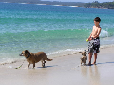 A Paradise Bungalow Waterfront - Dalby Accommodation 1