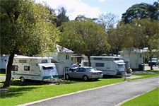 Pleasurelea Tourist Resort And Caravan Park - Dalby Accommodation 1
