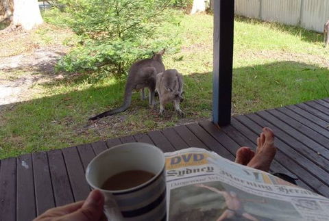 Bush And Bay Cottage - Dalby Accommodation 0