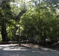 Booderee National Park Green Patch camping area - Dalby Accommodation