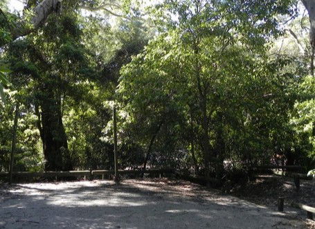 Booderee National Park: Green Patch Camping Area - Dalby Accommodation 0