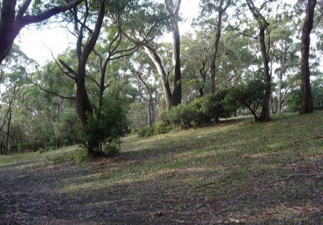 Booderee National Park: Green Patch Camping Area - Dalby Accommodation 3