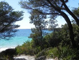 Booderee National Park: Bristol Point Camping Area - Dalby Accommodation 2