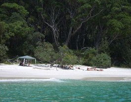 Booderee National Park: Bristol Point Camping Area - Dalby Accommodation 3