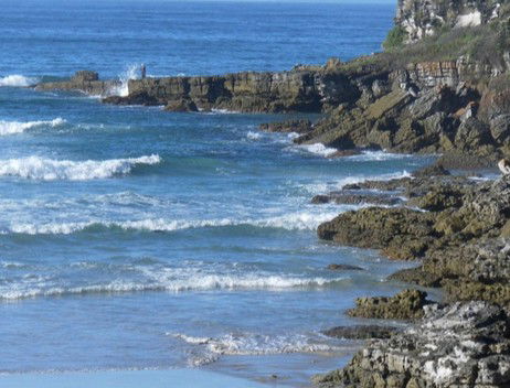 Booderee National Park: Cave Beach Camping Area - Dalby Accommodation 2