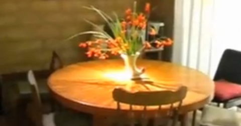 At The Springs Cottages - Dalby Accommodation 2