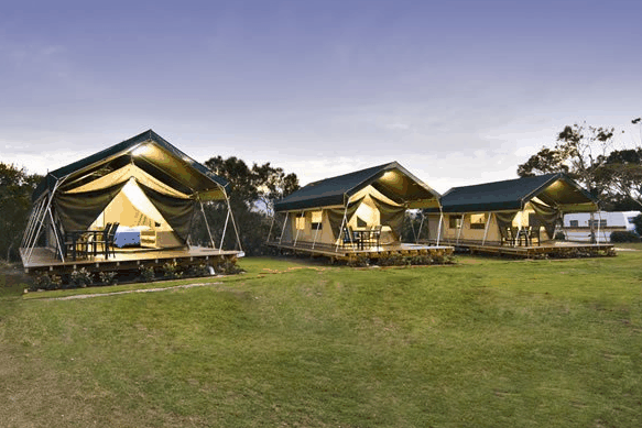 Hastings Point Holiday Park - Dalby Accommodation 0