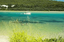 Wooli Camping and Caravan Park - Dalby Accommodation
