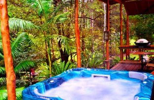 A Waterfall Hideout-Rainforest Cabin For Couples - Dalby Accommodation 5