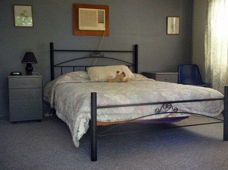Comeroo Camel Station - Dalby Accommodation 0