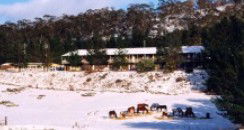 Cooba Holiday Motel - Dalby Accommodation 2