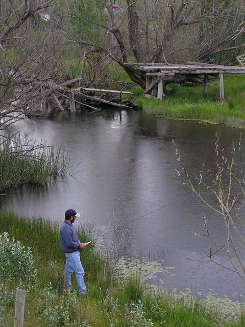 Bombala Caravan Park - Dalby Accommodation 1