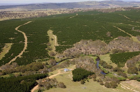 Cochabonddu - Dalby Accommodation 2