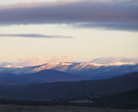 Snowy View Cottage - Dalby Accommodation 2