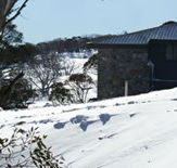Barina Milpara Lodge - Dalby Accommodation