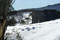 Barina Milpara Lodge - Dalby Accommodation 0