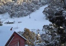 Karas Apartments - Dalby Accommodation 0