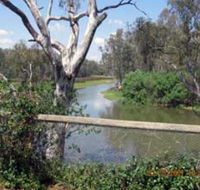 The Shanty Waterside Cottages - Dalby Accommodation