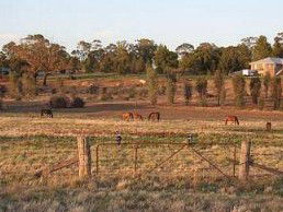 Junee Motor Inn - Dalby Accommodation 2